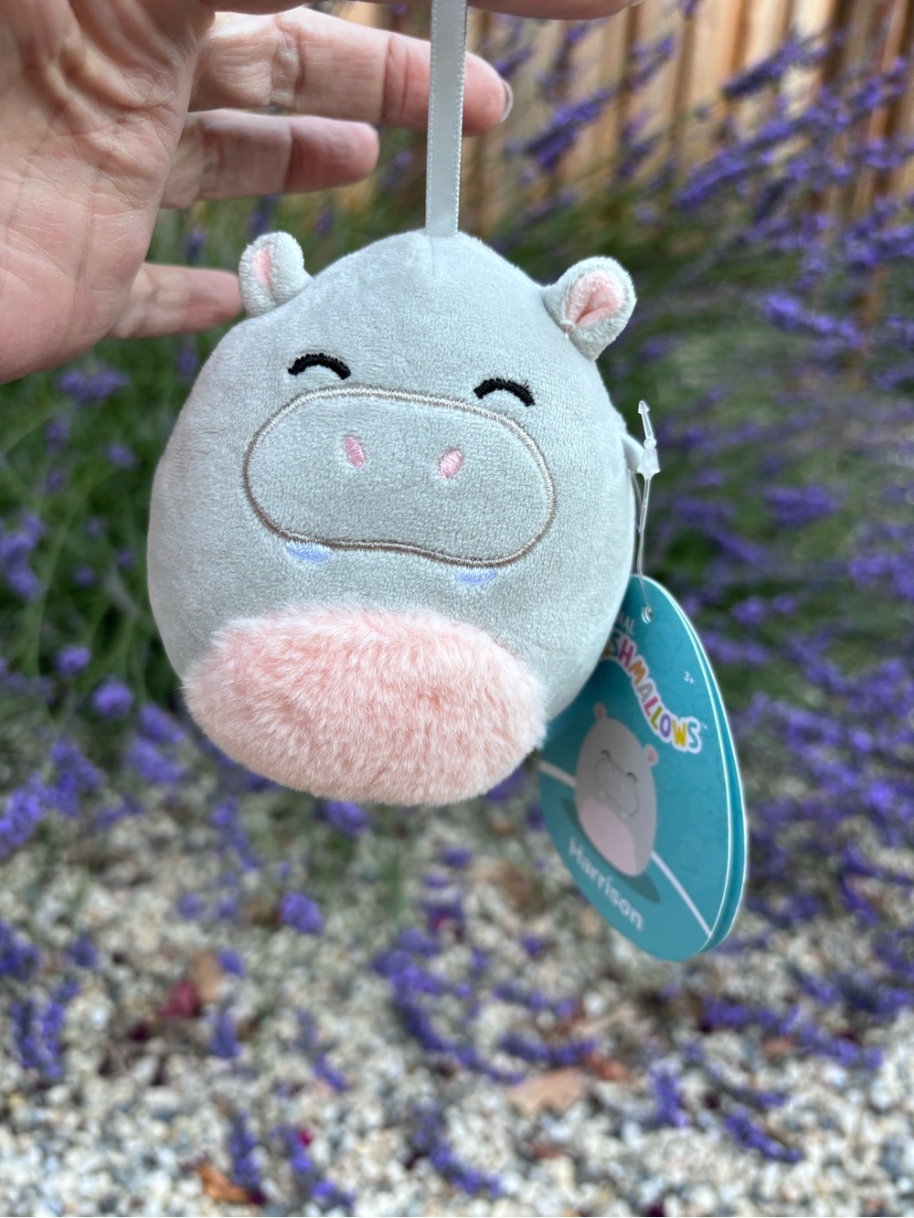 Squishmallows Medium Blue Pink Hippo Harrison Plush Toy Cute New w Tags